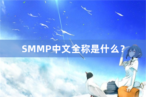 SMMP中文全称是什么？
